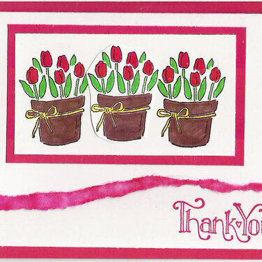 Tulip Thank You (red)