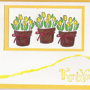 Tulip Thank You (yellow)