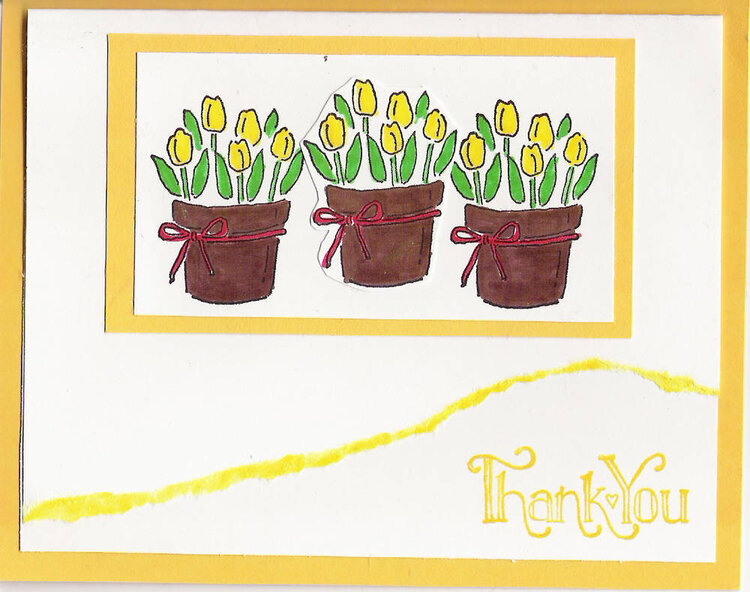Tulip Thank You (yellow)