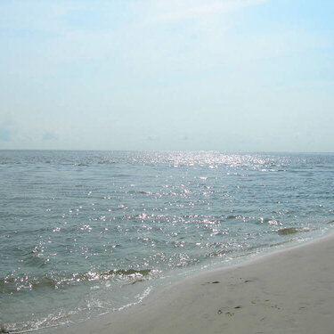 {hilton head 2006}