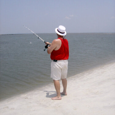 {hilton head 2006}