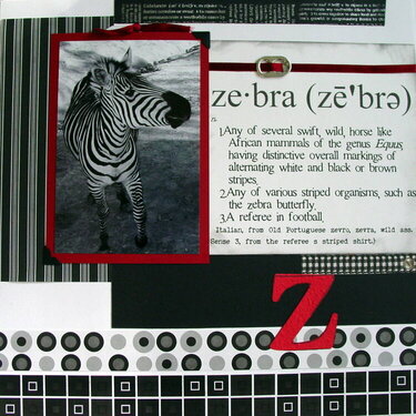 zebra