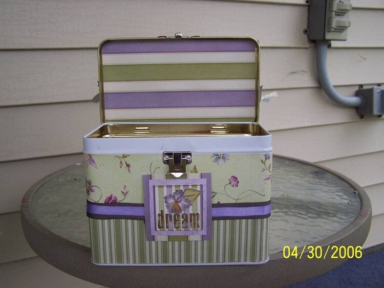 dream tin purse
