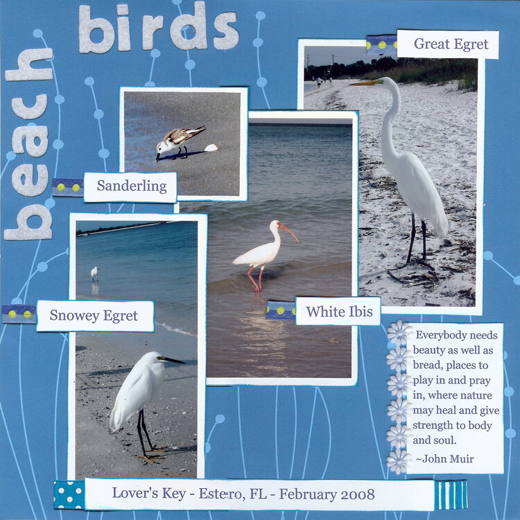 Beach Birds