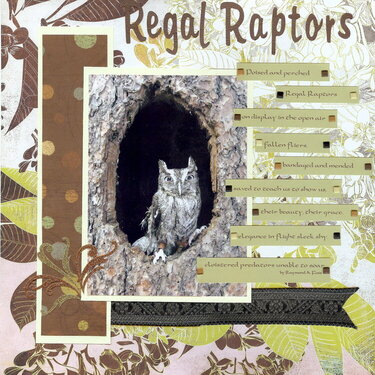 Regal Raptors - page 1