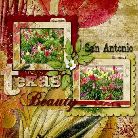 Texas Beauty