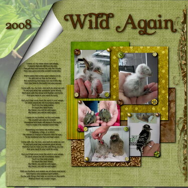 Wild Again page 1