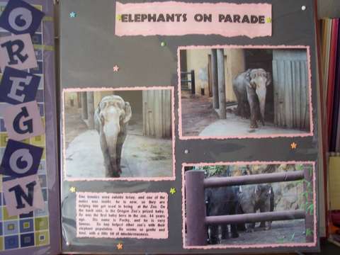 Elephants on Parade