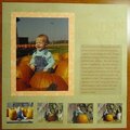 Lots of photos - Pumpkin Patch
