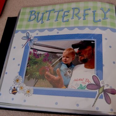 Butterfly farm 1