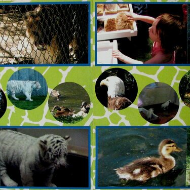 Zoo (page 2&amp;3)