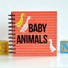 Baby Animals Book