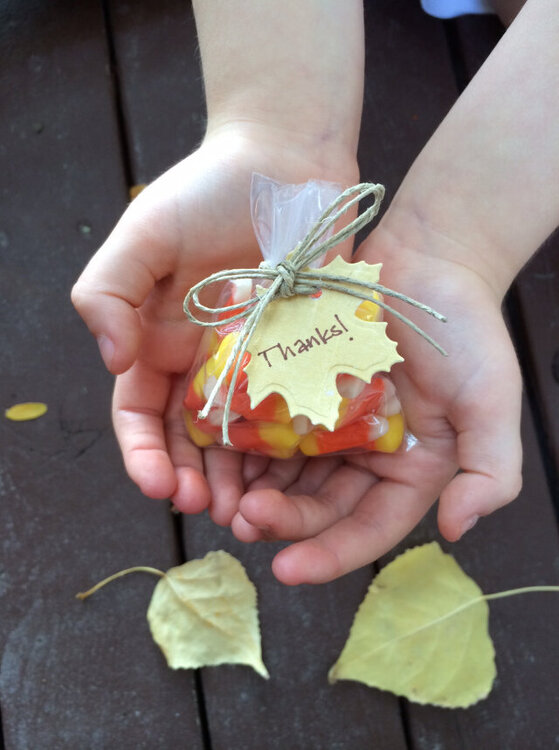 Fall Favor Bags