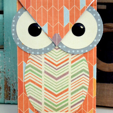 We R Owl Gift Bag