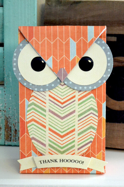 We R Owl Gift Bag