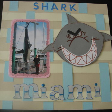 Shark in Miami