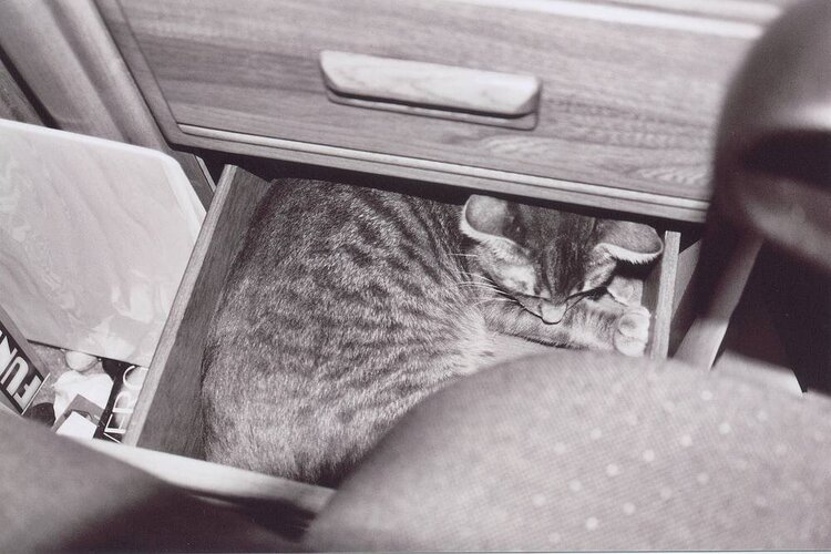 Bo in drawer