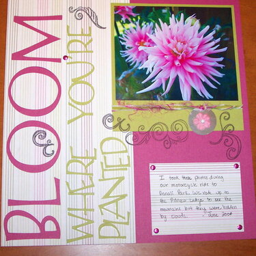 Bloom Pg. 1
