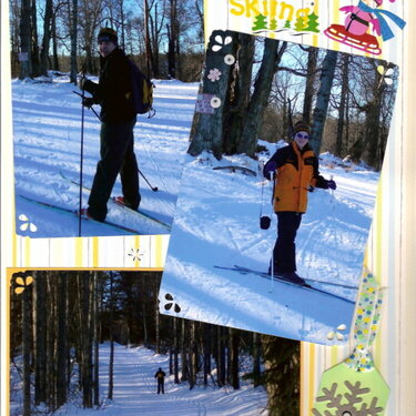 Cross-country Skiing