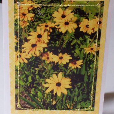 Flower Photo Card 6