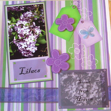 Lilacs - Scent from Heaven