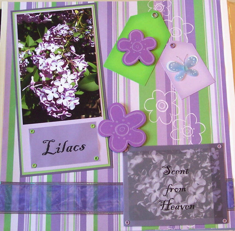 Lilacs - Scent from Heaven