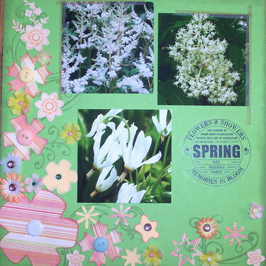 White flowers-spring
