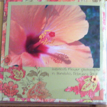 Hawaii Flower 3