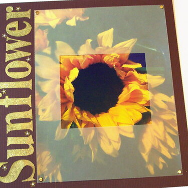 Sunflower Page 1