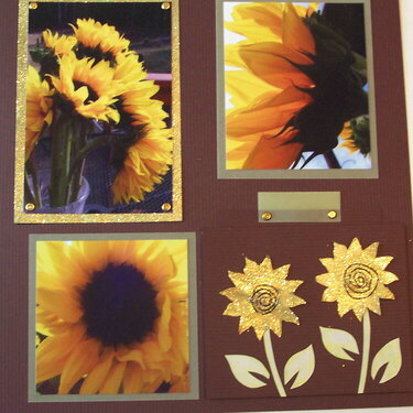 Sunflower Page 2