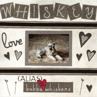 Whiskey (Bubba Whiskers)