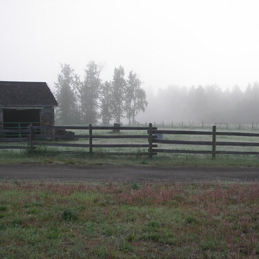A Misty Morning