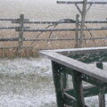 First Snow-Nov.11th
