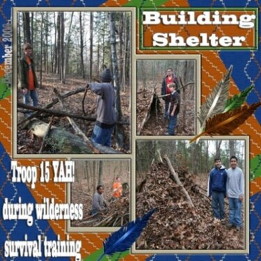 Building Shelter