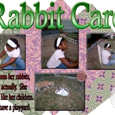 Rabbit Care