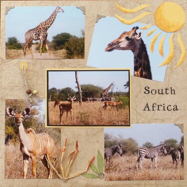 South Africa Wild Life 1