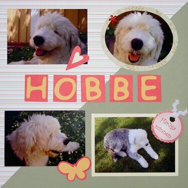 Hobbe - my best friend