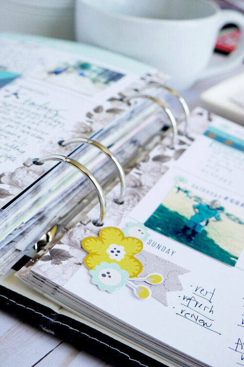 Turn the Page Planner Pages