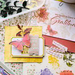 View User Uploaded Project