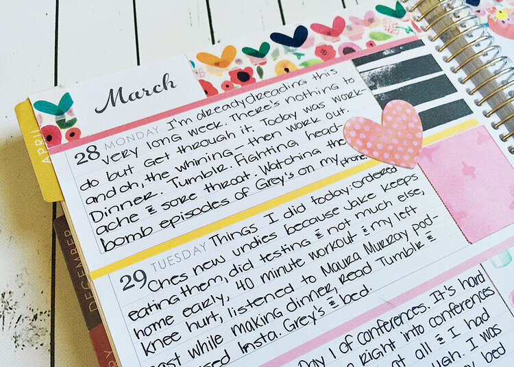 Memory Journal: Illustrated Faith She Blooms