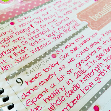 Planner share: Doodlebug Swiss Dots