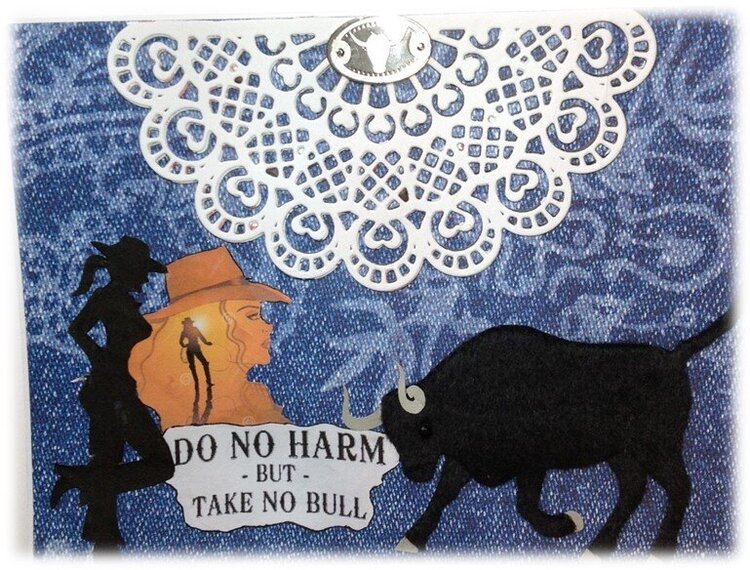 &quot;Do No Harm-But-Take No Bull
