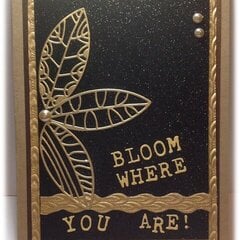 "Bloom Where You Are"