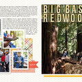 Big Basin Redwoods