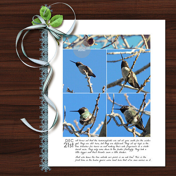 Hummingbird Stories