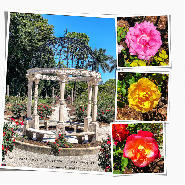 Mabel Ringling&#039;s Rose Garden, right side