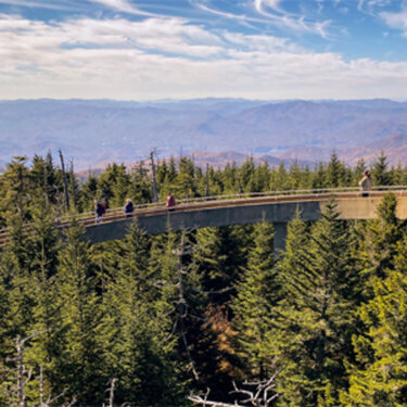 Clingmans Dome