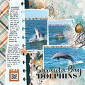 Sarasota Bay Dolphins