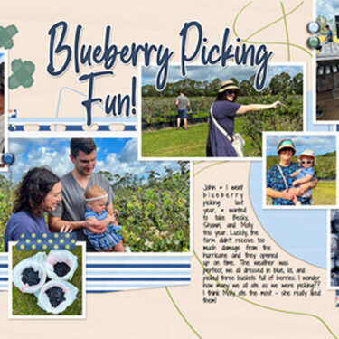 Blueberry Picking Fun!