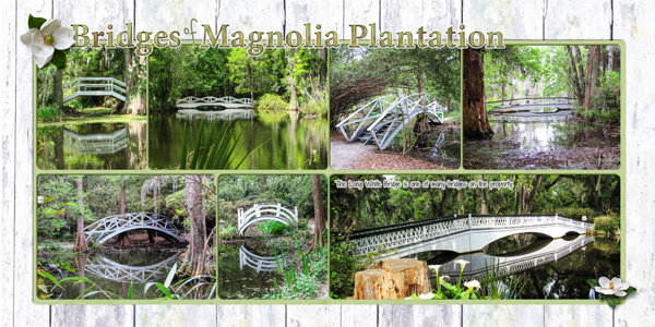 Bridges of Magnolia Plantation